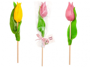 LIZAK TULIPAN 3D