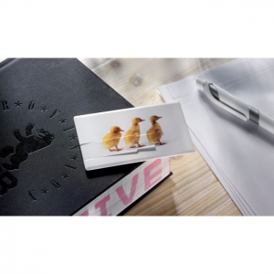 Pamięć USB 4GB w kształcie i rozmiarze karty kredytowej, EMORAMA, MO1059-06-4G