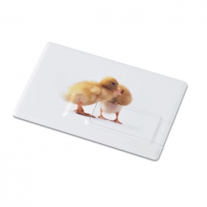 Pamięć USB 4GB w kształcie i rozmiarze karty kredytowej, EMORAMA, MO1059-06-4G
